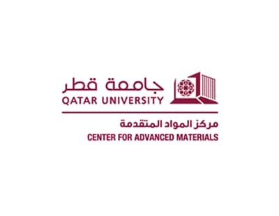 Government Partner Logo 30