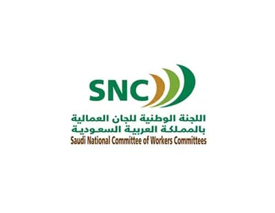 Government Partner Logo 29