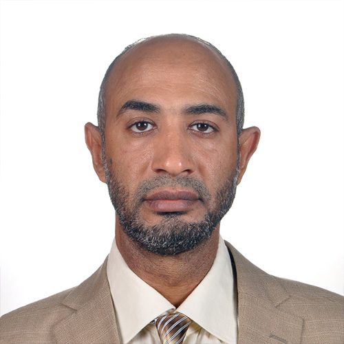 Mr. Amro Hassanein