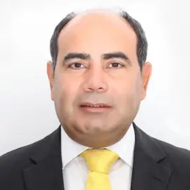Mr. George Berbari
