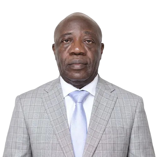 Mr. Enorense Amadasu portrait