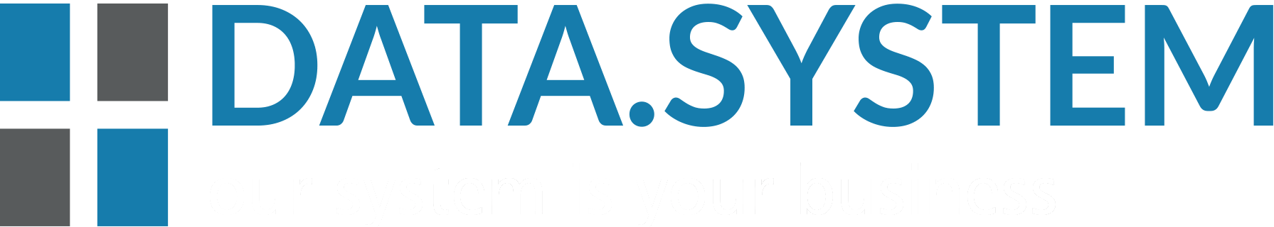 DS DATA SYSTEMS GmbH logo